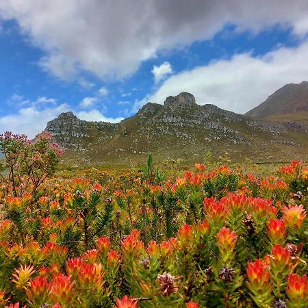 La Mer Seafront Selfcatering Accommodation Kleinmond Luaran gambar