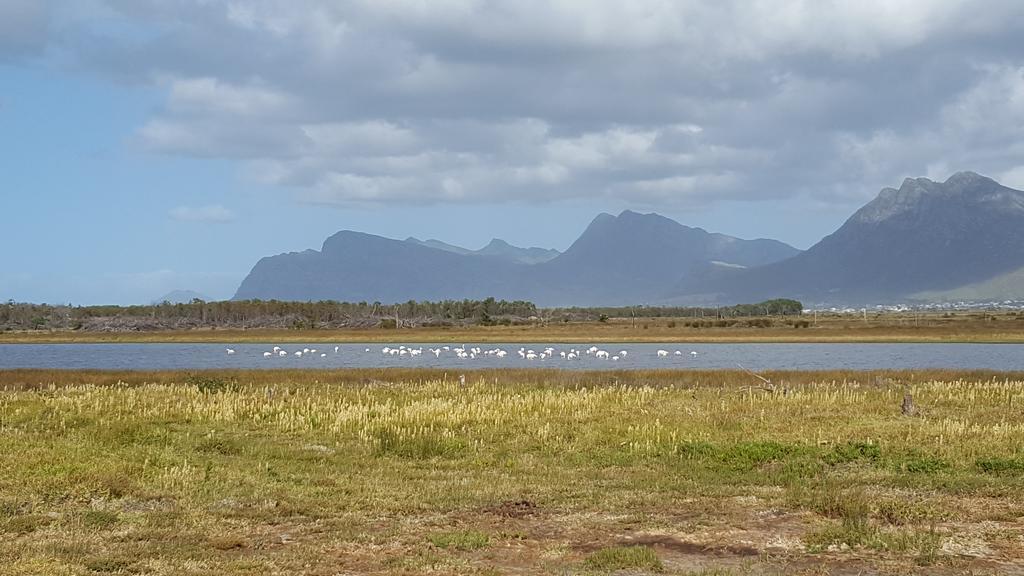 La Mer Seafront Selfcatering Accommodation Kleinmond Luaran gambar